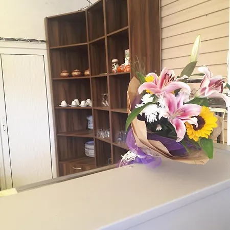 студия лилия בית הארחה