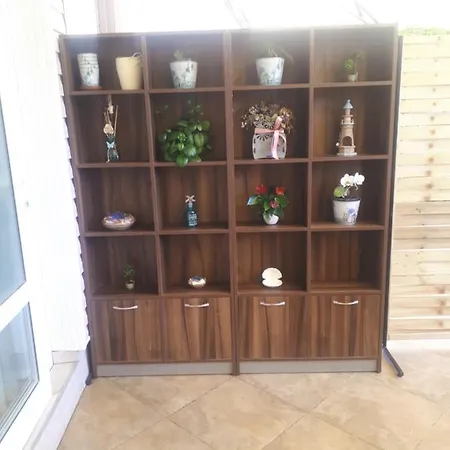 студия лилия 4*