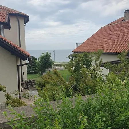 студия лилия