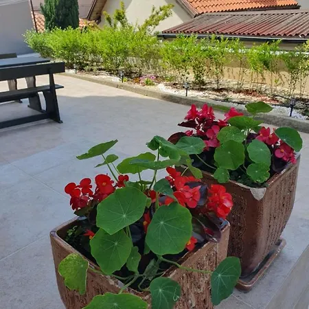 студия лилия 4* צרבו