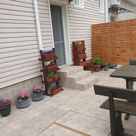 студия лилия