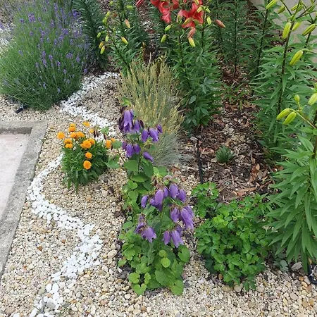 студия лилия בית הארחה צרבו