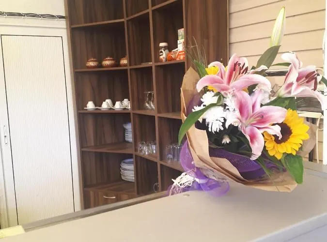 студия лилия Affittacamere