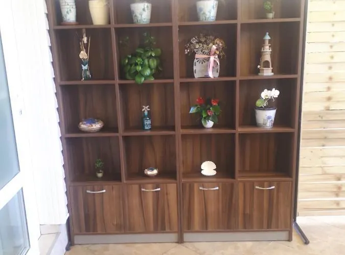 студия лилия 4*