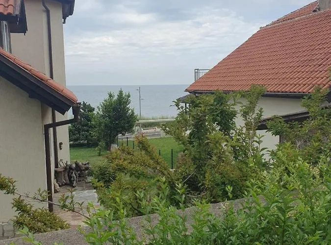 студия лилия