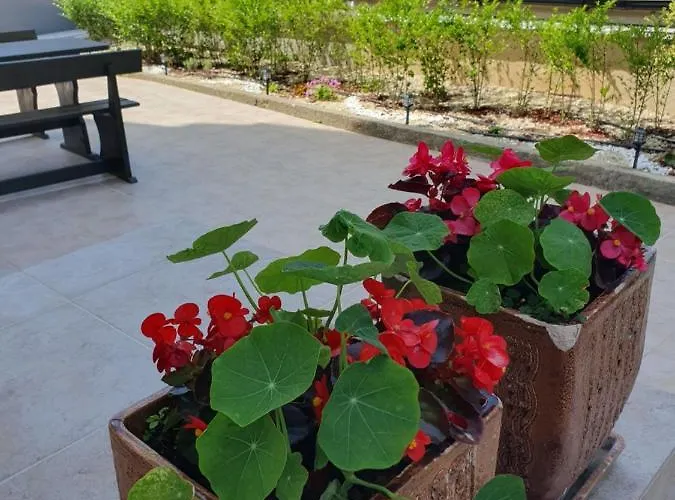 студия лилия 4* Tsarevo