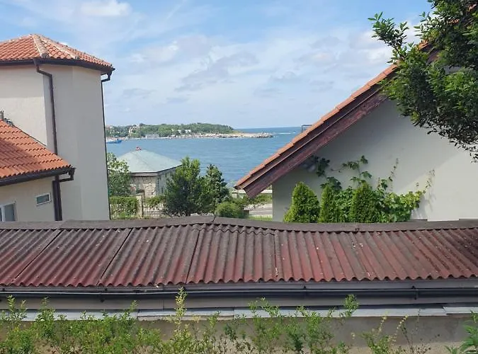 студия лилия