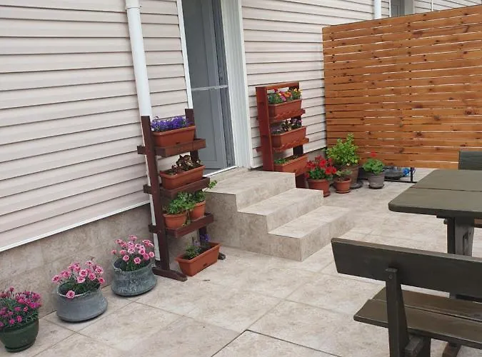 студия лилия