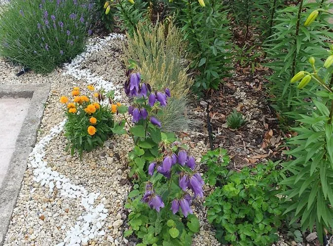 студия лилия Affittacamere Tsarevo